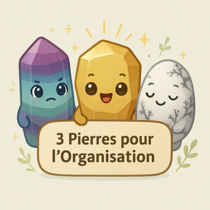3 Pierres pour l'Organisation