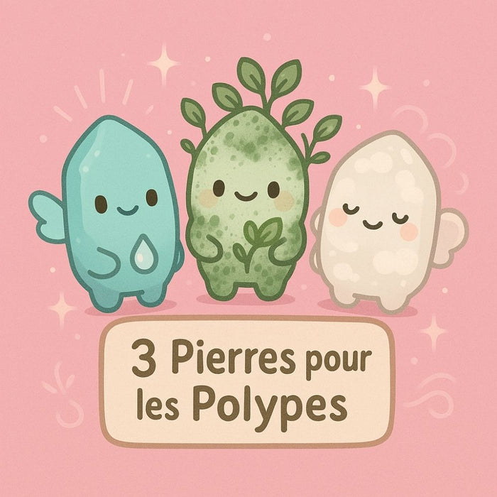 3 Pierres pour les Polypes
