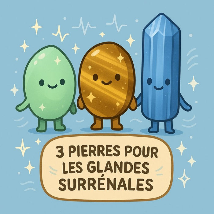 3 Pierres pour les Glandes Surrénales