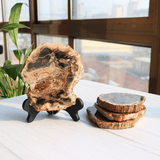 Tranche de Bois Silicifié | Lithothérapie Stéphanie